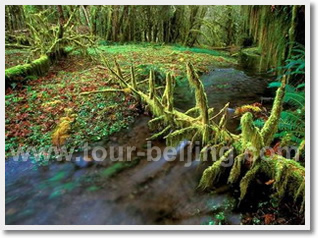 5 Day Chengdu Jiuzhaigou Huanglong Tour 